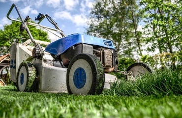Gartengestaltung und Gartenpflege