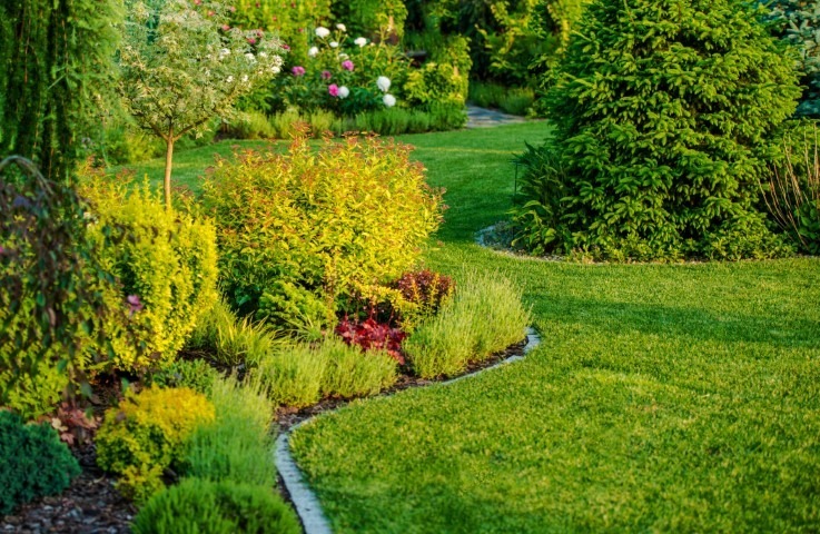 Gartenbau Gartenbau