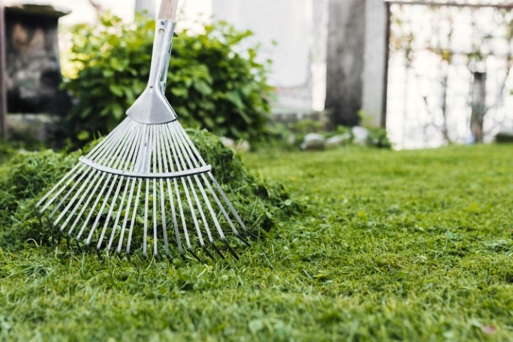 Gartenpflege https://www.tbm-hausmeisterservice.de/wp-content/uploads/2026/07/Gartenpflege.jpg