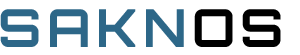 SAKNOS Online Services https://www.tbm-hausmeisterservice.de/wp-content/uploads/2026/07/SAKNOS-Online-Services.png
